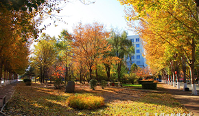 黑龙江财经学院-校园风光