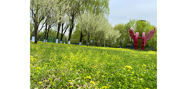 我的大學-大學志