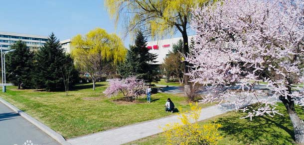 东北农业大学 - 最美院校