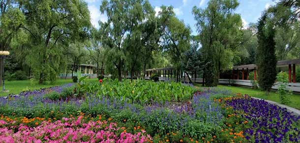 大庆职业学院