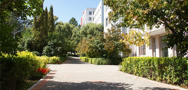 黑龙江林业职业技术学院 - 最美大学