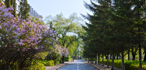 黑龙江林业职业技术学院 - 最美大学