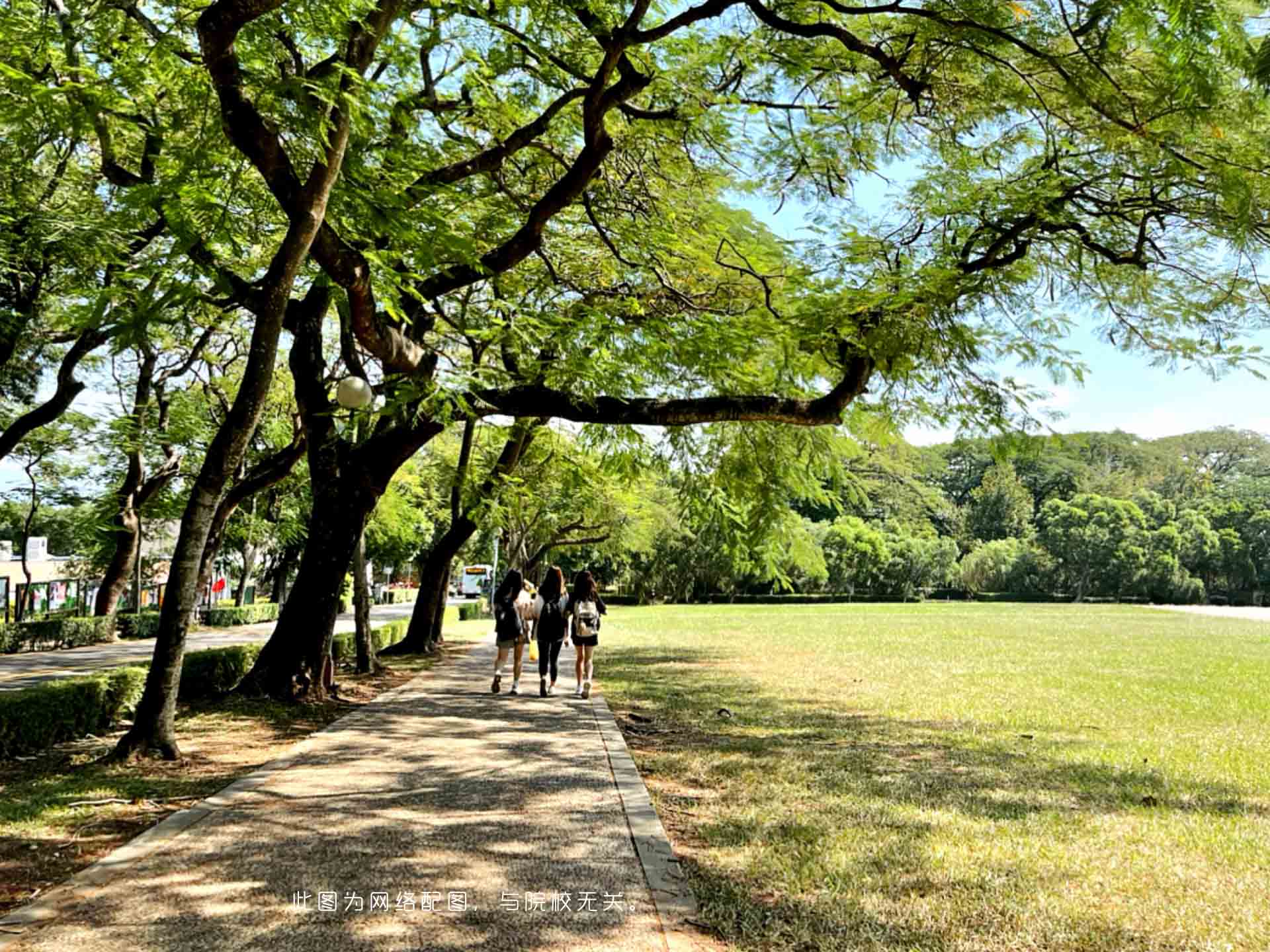 同济大学-校园风景