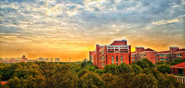 上海杉达学院