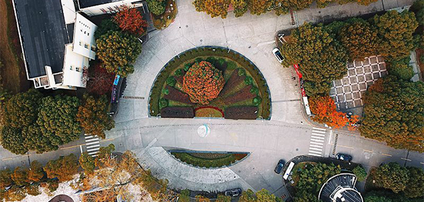 上海交通大学 - 最美大学