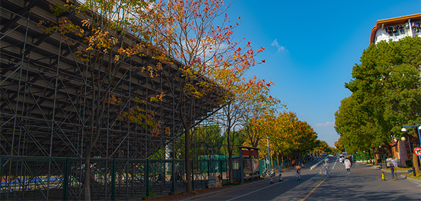 东华大学 - 最美大学