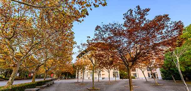 东华大学 - 最美大学