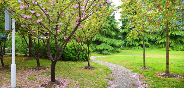 上海现代化工职业学院 - 最美大学