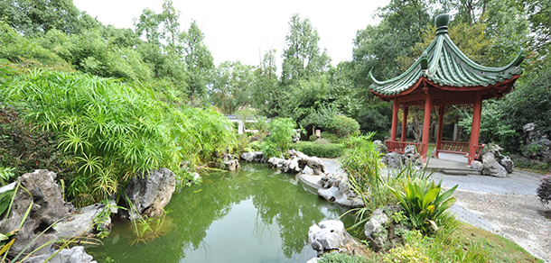 上海建设管理职业技术学院 - 最美大学